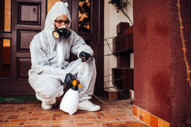 Reliable Bed Bug Control contractor in Commerce, TX by Nex Pest Control