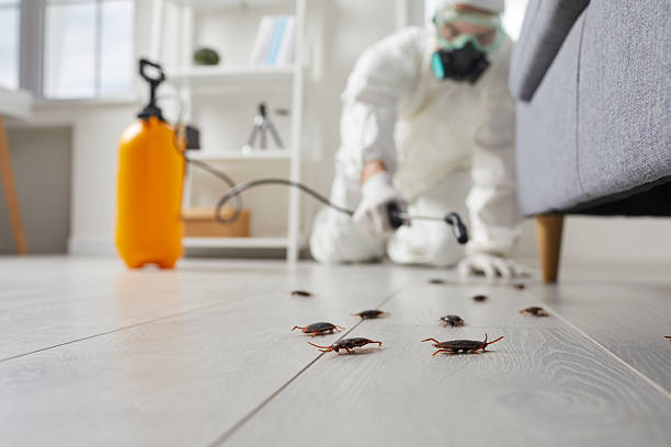 Trusted Mosquito Control service in Commerce, TX - Nex Pest Control